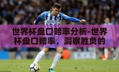 世界杯盘口赔率分析-世界杯盘口赔率，洞察胜负的智慧之窗