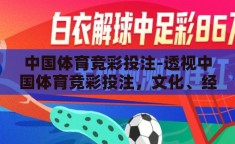 中国体育竞彩投注-透视中国体育竞彩投注，文化、经济与社会的多维视角