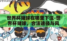 世界杯赌球在哪里下注-世界杯赌球，合法途径与风险考量