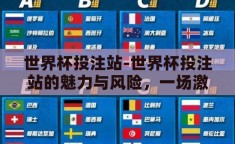 世界杯投注站-世界杯投注站的魅力与风险，一场激情与理性的博弈