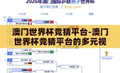 澳门世界杯竞猜平台-澳门世界杯竞猜平台的多元视角与风险考量