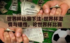 世界杯比赛下注-世界杯激情与理性，论世界杯比赛下注的平衡之道