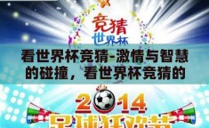 看世界杯竞猜-激情与智慧的碰撞，看世界杯竞猜的乐趣与策略