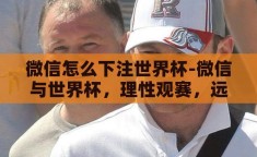 微信怎么下注世界杯-微信与世界杯，理性观赛，远离非法下注