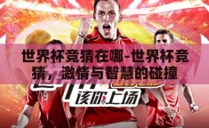 世界杯竞猜在哪-世界杯竞猜，激情与智慧的碰撞