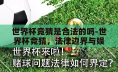 世界杯竞猜是合法的吗-世界杯竞猜，法律边界与娱乐的微妙平衡