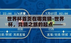 世界杯首页在哪竞猜-世界杯，竞猜之旅的起点——首页导航探索