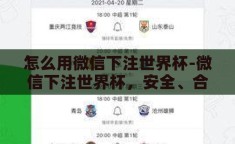 怎么用微信下注世界杯-微信下注世界杯，安全、合法与智慧的指南