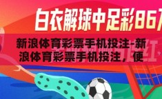 新浪体育彩票手机投注-新浪体育彩票手机投注，便捷与安全的双重体验