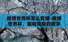 微博世界杯怎么竞猜-微博世界杯，趣味竞猜的数字盛宴