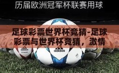 足球彩票世界杯竞猜-足球彩票与世界杯竞猜，激情与智慧的碰撞