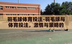 羽毛球体育投注-羽毛球与体育投注，激情与策略的碰撞