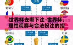 世界杯去哪下注-世界杯，理性观赛与合法投注的指南