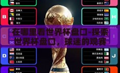 在哪里看世界杯盘口-探索世界杯盘口，球迷的观赛新视角