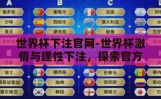 世界杯下注官网-世界杯激情与理性下注，探索官方平台的正确路径