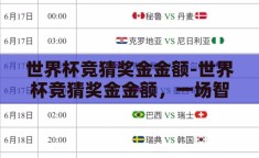 世界杯竞猜奖金金额-世界杯竞猜奖金金额，一场智慧与运气的较量
