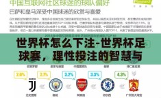 世界杯怎么下注-世界杯足球赛，理性投注的智慧与策略