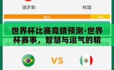世界杯比赛竞猜预测-世界杯赛事，智慧与运气的精彩碰撞——竞猜预测的艺术