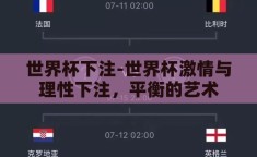 世界杯下注-世界杯激情与理性下注，平衡的艺术