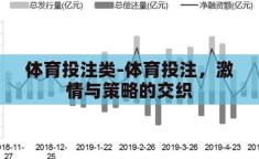 体育投注类-体育投注，激情与策略的交织