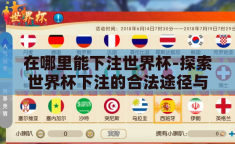 在哪里能下注世界杯-探索世界杯下注的合法途径与注意事项