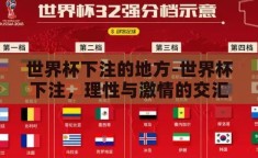 世界杯下注的地方-世界杯下注，理性与激情的交汇点