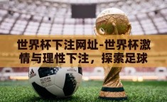 世界杯下注网址-世界杯激情与理性下注，探索足球盛宴的另一面