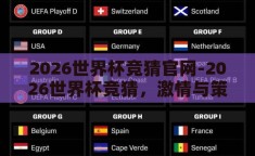 2026世界杯竞猜官网-2026世界杯竞猜，激情与策略的碰撞