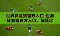 世界杯竞猜官方入口-世界杯竞猜官方入口，解锁足球盛宴的趣味新篇章