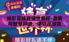 体彩足球竞猜世界杯-激情与智慧并进，体彩足球竞猜世界杯的魅力探索