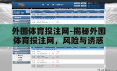 外围体育投注网-揭秘外围体育投注网，风险与诱惑并存的世界