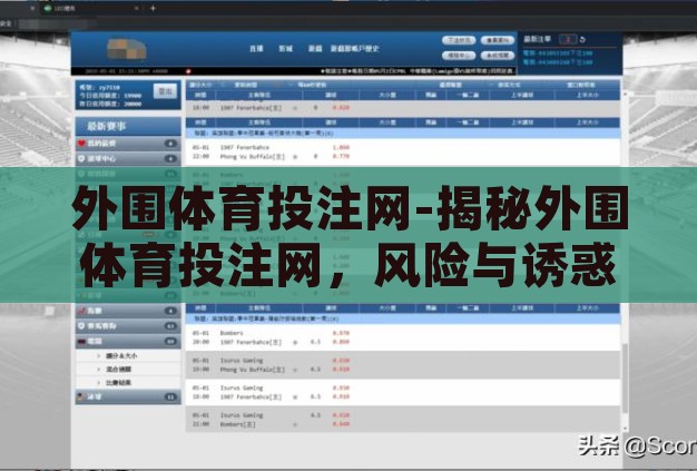 外围体育投注网-揭秘外围体育投注网，风险与诱惑并存的世界