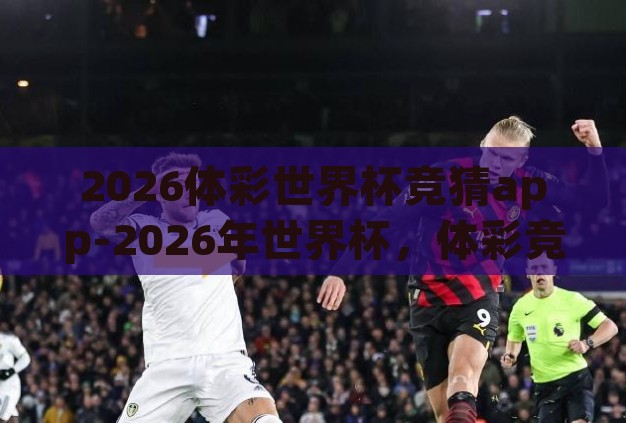 2026体彩世界杯竞猜app-2026年世界杯,体彩竞猜APP的革新与挑战 2026体彩世界杯竞猜app-2026年世界杯,体彩竞猜APP的革新与挑战