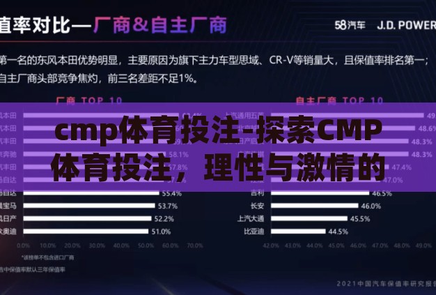 cmp体育投注-探索CMP体育投注,理性与激情的交汇点 cmp体育投注-探索CMP体育投注,理性与激情的交汇点