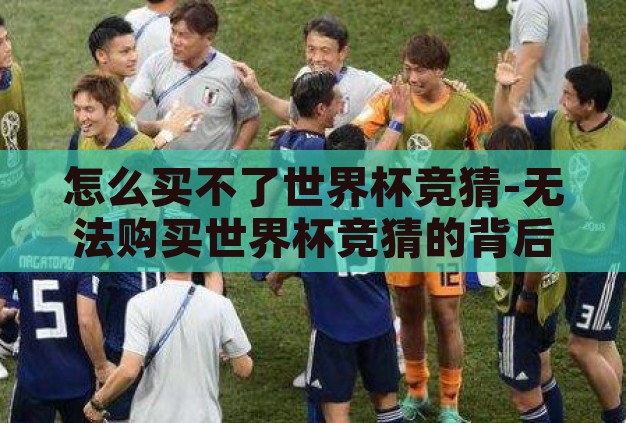 怎么买不了世界杯竞猜-无法购买世界杯竞猜的背后,原因与应对策略 怎么买不了世界杯竞猜-无法购买世界杯竞猜的背后,原因与应对策略