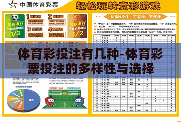 体育彩投注有几种-体育彩票投注的多样性与选择 体育彩投注有几种-体育彩票投注的多样性与选择