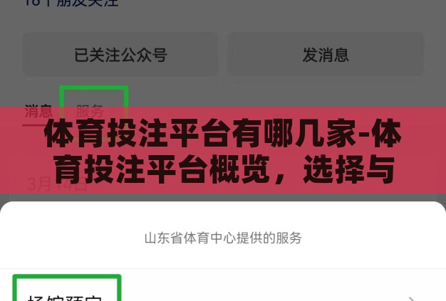 体育投注平台有哪几家-体育投注平台概览,选择与比较 体育投注平台有哪几家-体育投注平台概览,选择与比较