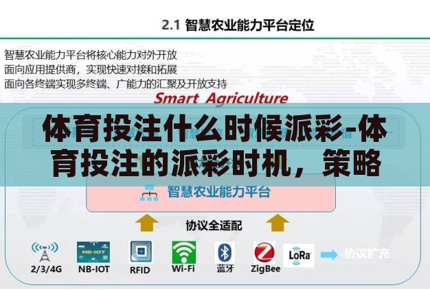 体育投注什么时候派彩-体育投注的派彩时机,策略与智慧 体育投注什么时候派彩-体育投注的派彩时机,策略与智慧