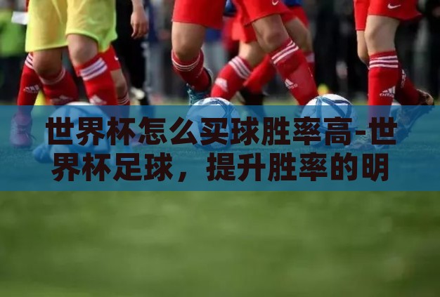 世界杯怎么买球胜率高-世界杯足球，提升胜率的明智之选