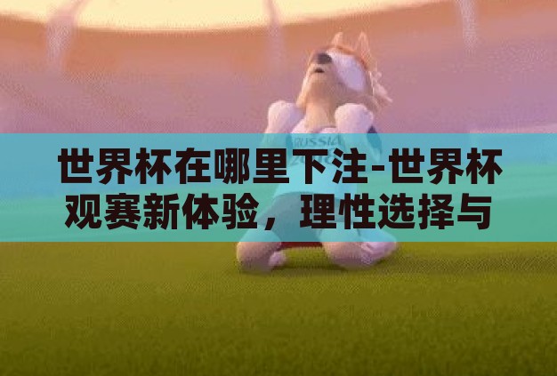 世界杯在哪里下注-世界杯观赛新体验，理性选择与合法下注的智慧