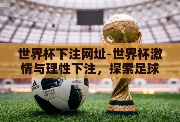 世界杯下注网址-世界杯激情与理性下注，探索足球盛宴的另一面