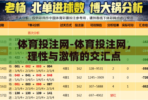 体育投注网-体育投注网,理性与激情的交汇点 体育投注网-体育投注网,理性与激情的交汇点