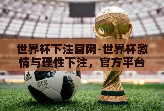 世界杯下注官网-世界杯激情与理性下注，官方平台的智慧选择