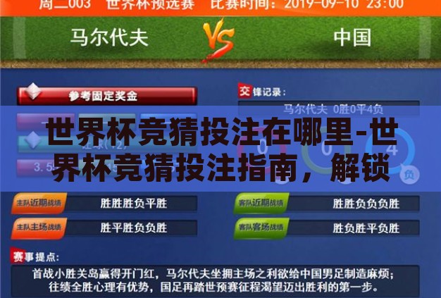 世界杯竞猜投注在哪里-世界杯竞猜投注指南，解锁观赛新体验