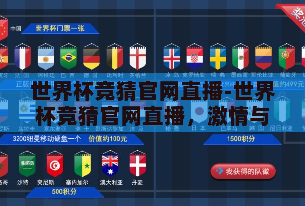 世界杯竞猜官网直播-世界杯竞猜官网直播，激情与智慧的碰撞