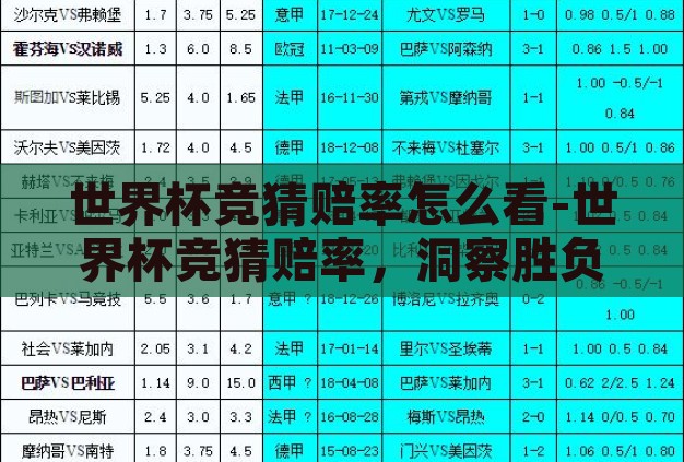 世界杯竞猜赔率怎么看-世界杯竞猜赔率，洞察胜负的智慧之窗