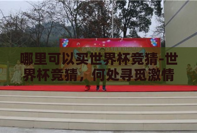 哪里可以买世界杯竞猜-世界杯竞猜，何处寻觅激情与乐趣的交汇点