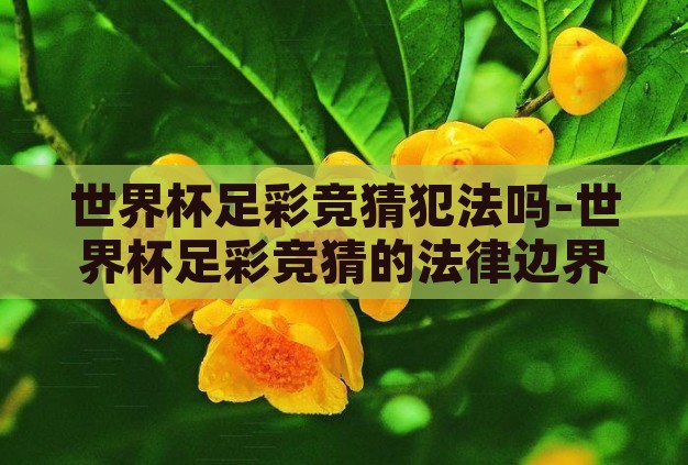 世界杯足彩竞猜犯法吗-世界杯足彩竞猜的法律边界