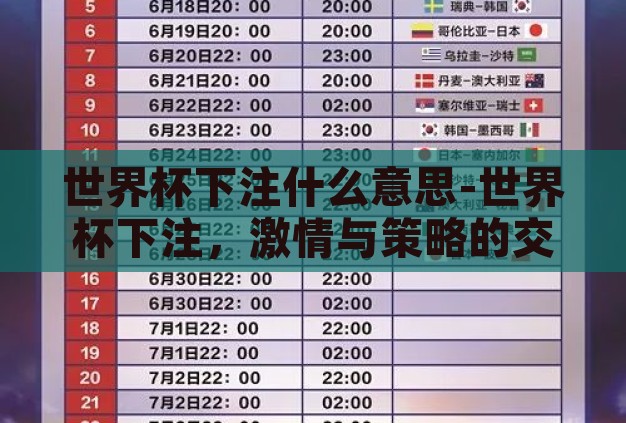 世界杯下注什么意思-世界杯下注，激情与策略的交织