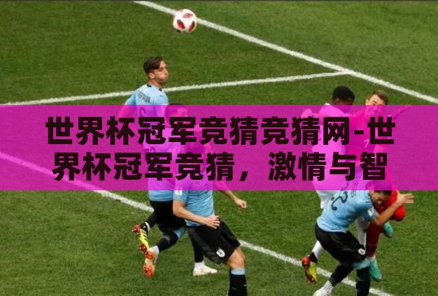 世界杯冠军竞猜竞猜网-世界杯冠军竞猜，激情与智慧的碰撞